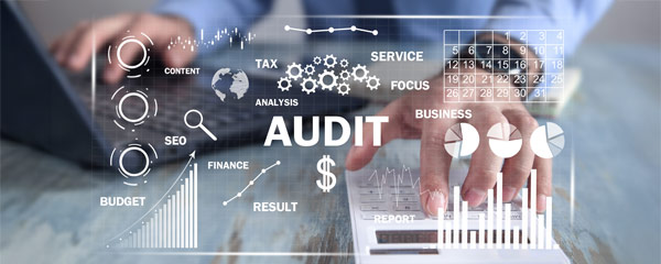 Mock Audits