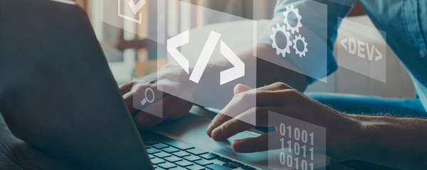 Custom Software Development
