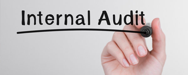 Internal Audit Execution